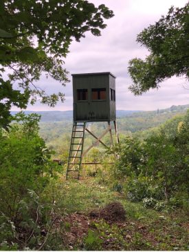 hunting blind in woods