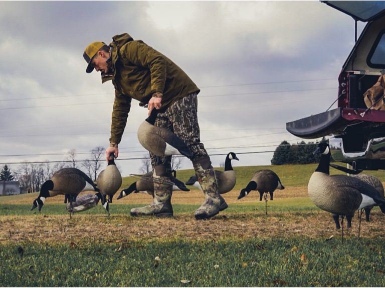 Laying the Perfect Goose Spread