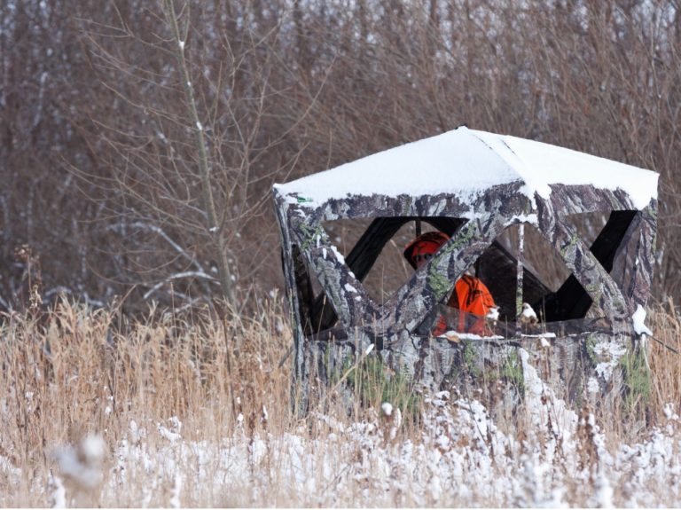 Is a Box Blind Better Than a Ground Blind?