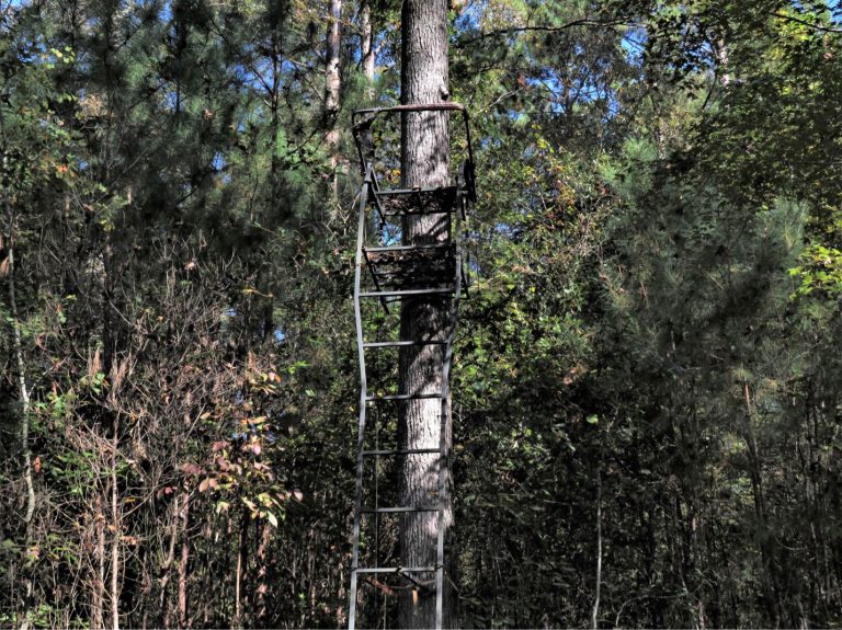Tree Stand Hunting: Using Elevated Positions for a Better View